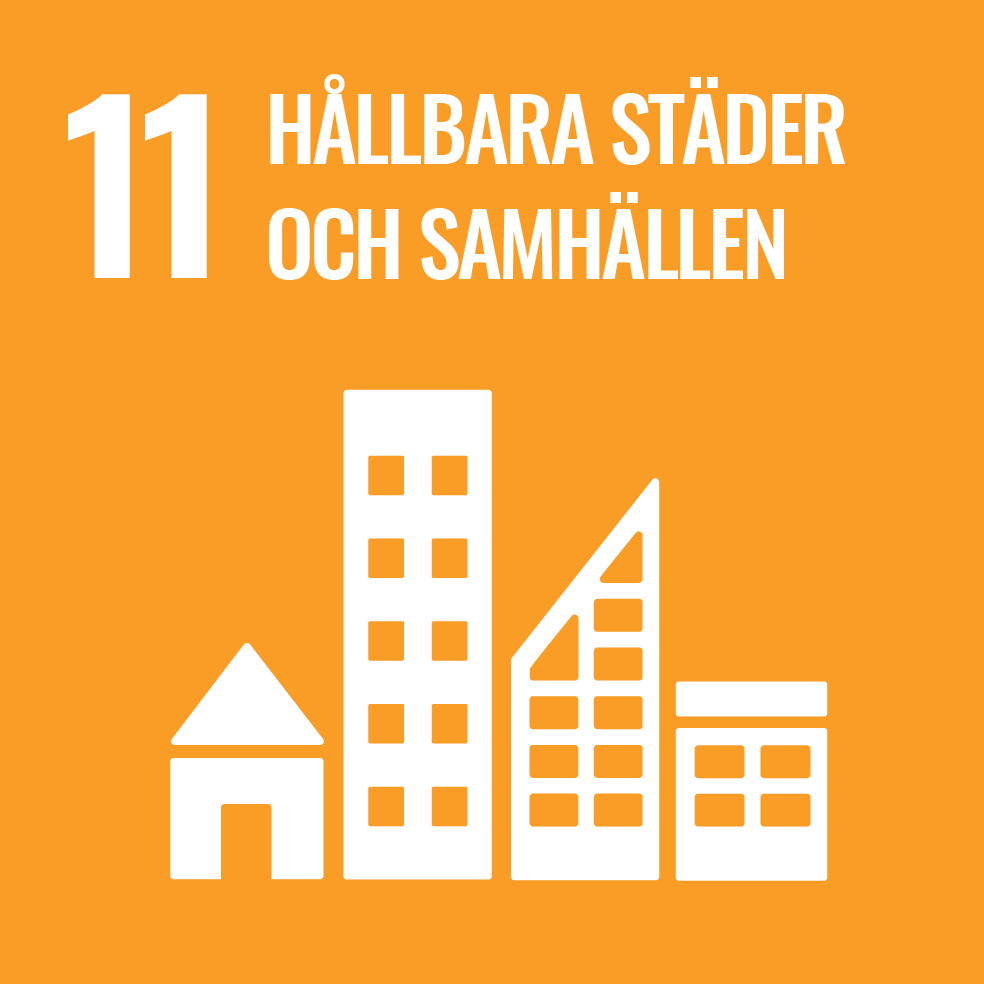 Goal_11