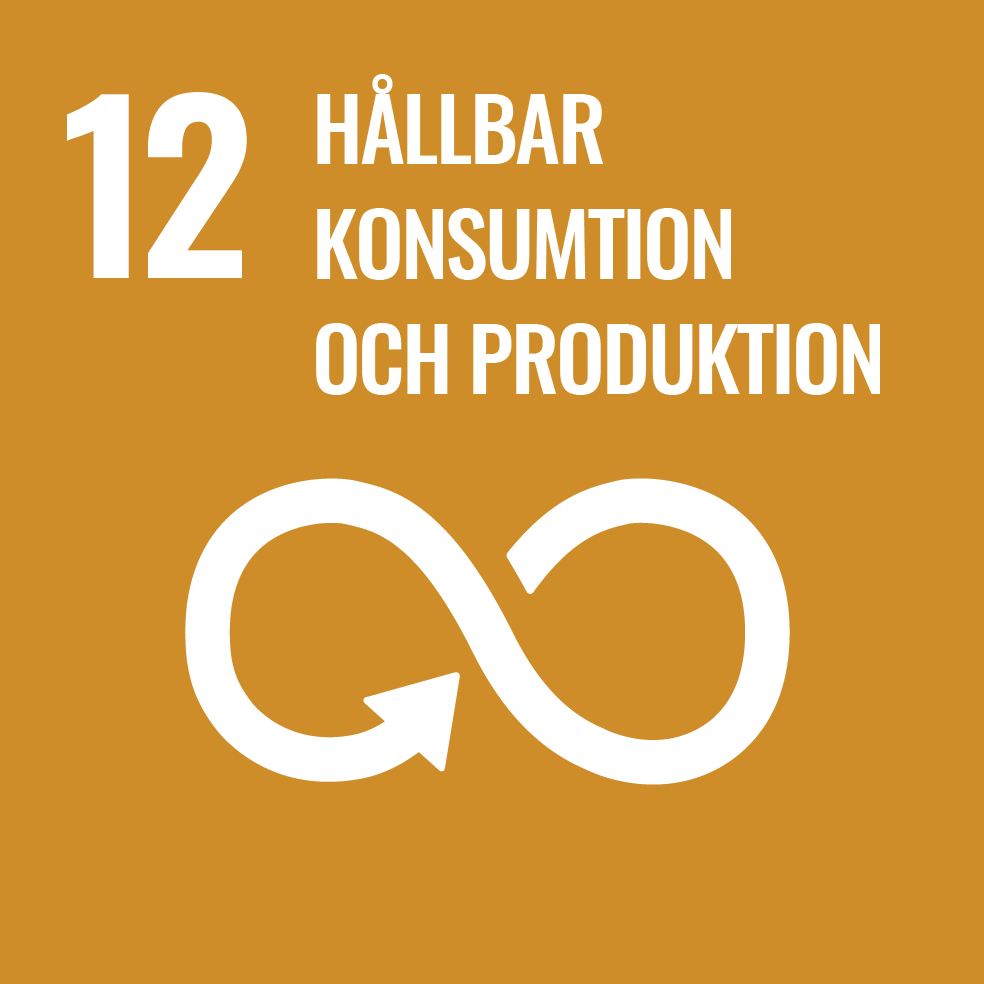 Goal_12