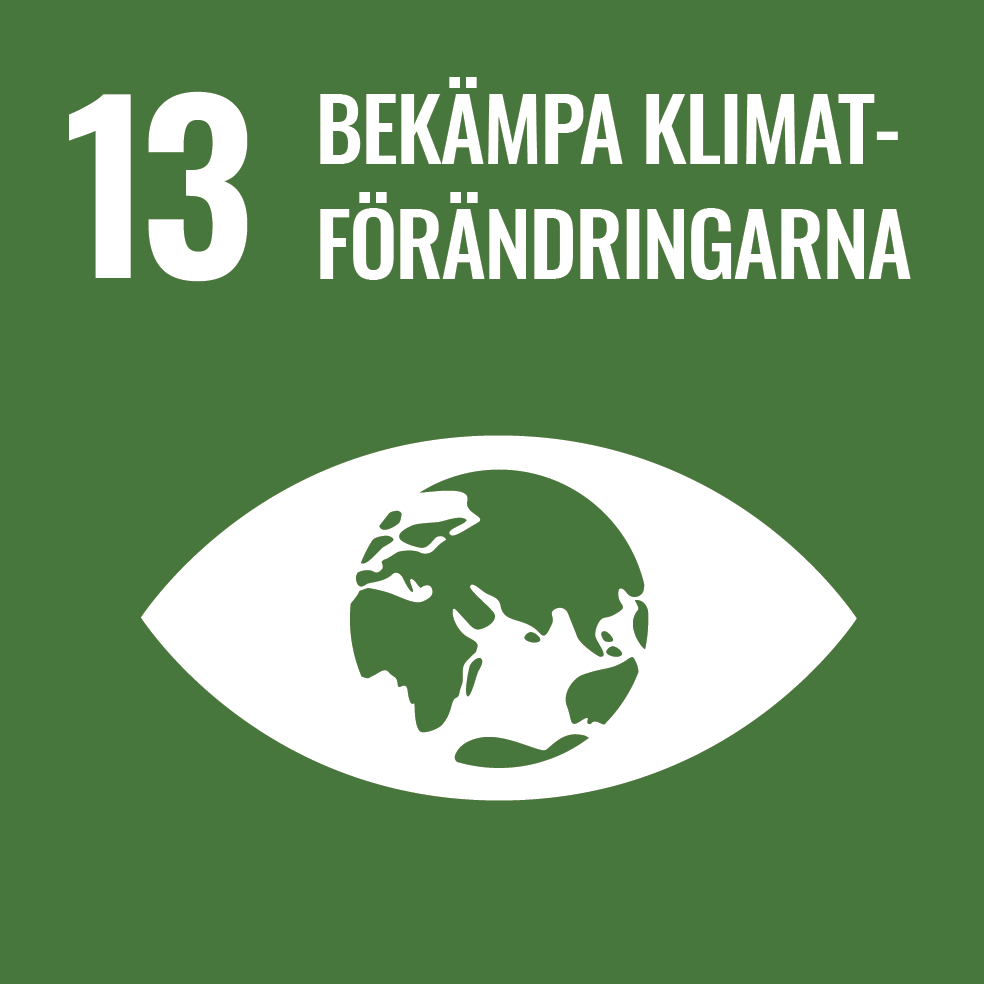 Goal_13