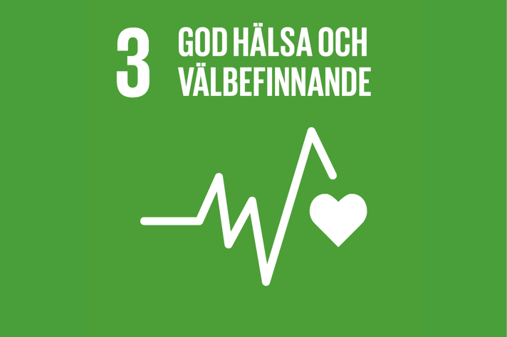 sdg 3